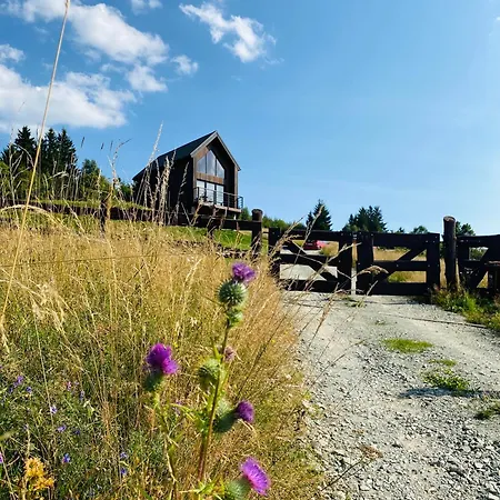 Vista - Wakacyjny W Gorach Sowich *