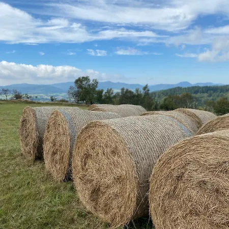 Vista - Wakacyjny W Gorach Sowich Дом отдыха *