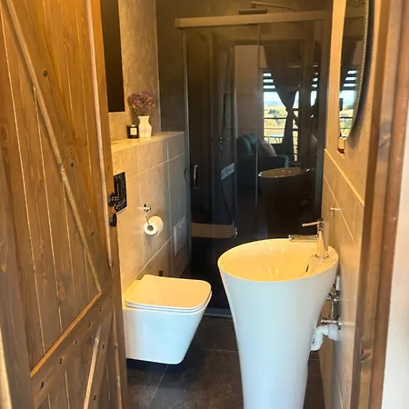 Vista - Wakacyjny W Gorach Sowich *