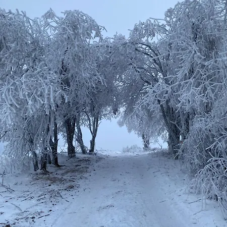 Vista - Wakacyjny W Gorach Sowich *