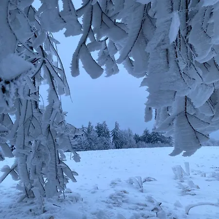 Vista - Wakacyjny W Gorach Sowich Дом отдыха