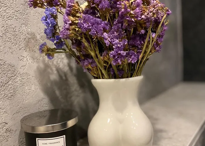 펜션 Vista - Wakacyjny W Gorach Sowich