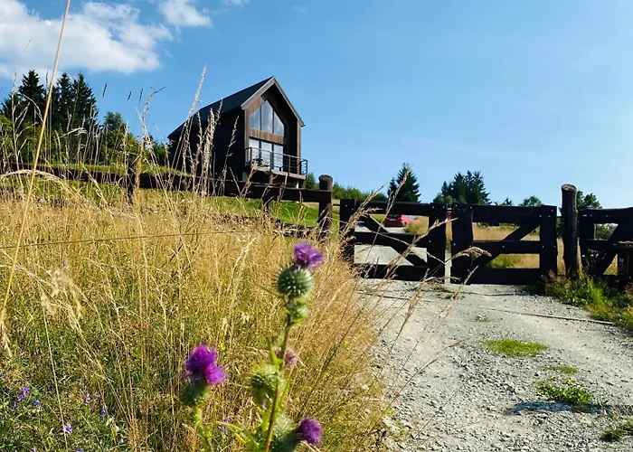 Vista - Wakacyjny W Gorach Sowich *