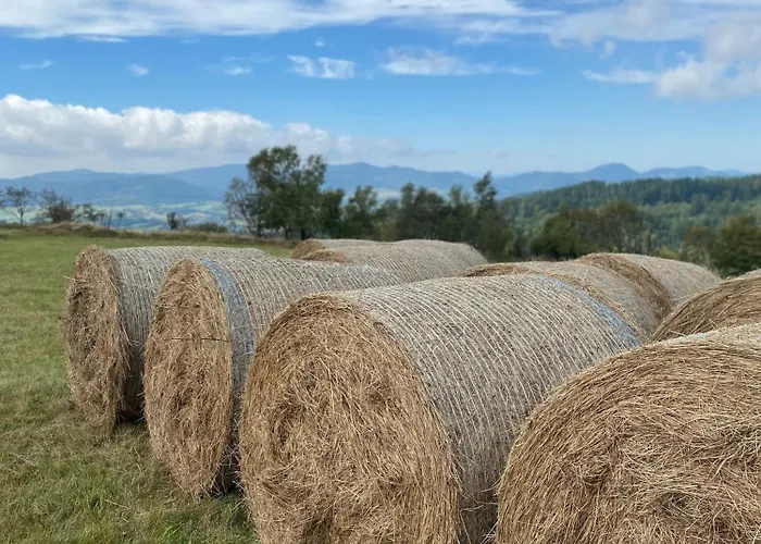 Vista - Wakacyjny W Gorach Sowich Prázdninový dům *