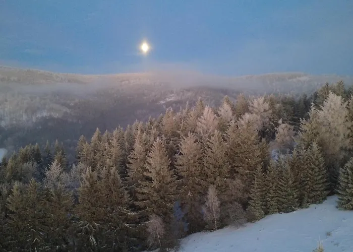 Vista - Wakacyjny W Gorach Sowich * Sierpnica