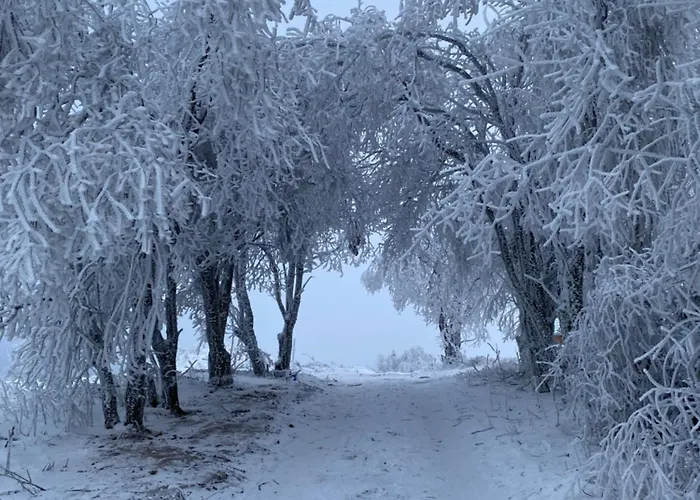 Vista - Wakacyjny W Gorach Sowich *