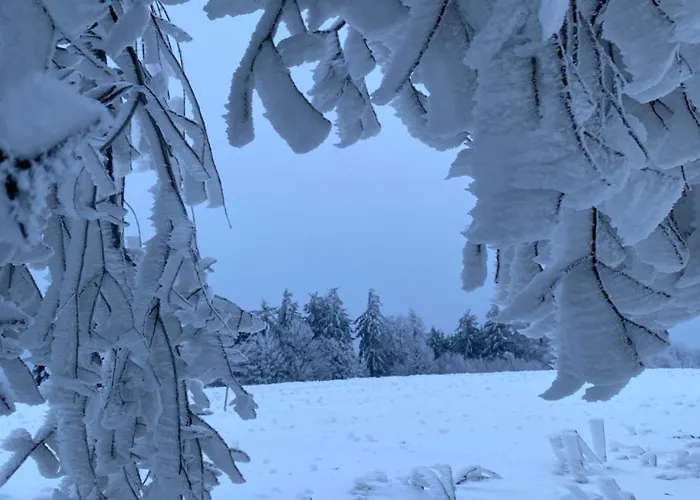 Vista - Wakacyjny W Gorach Sowich 펜션